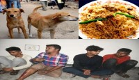 কুকুরের মাংসের বিরিয়ানি বিক্রি, হাতেনাতে...